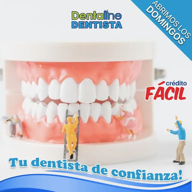 Dentaline Dentista